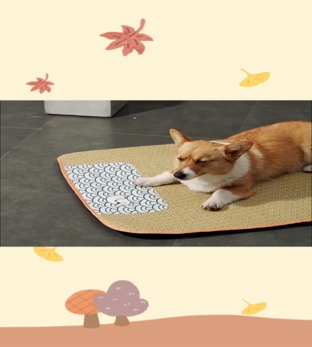 紹介動画