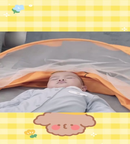 紹介動画