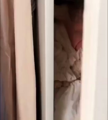 紹介動画