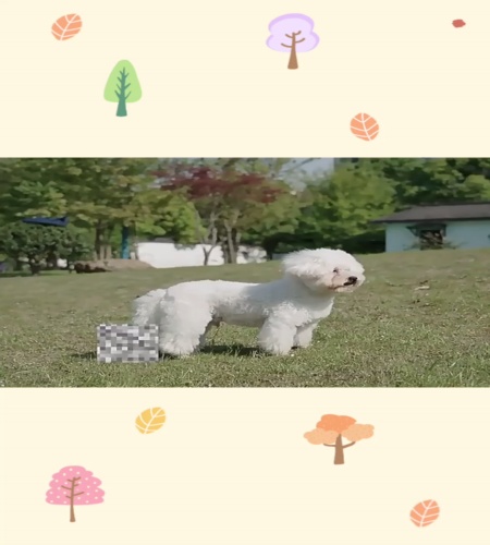 紹介動画