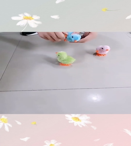 紹介動画