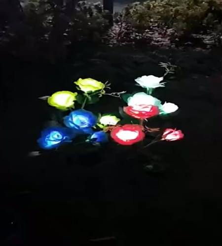紹介動画