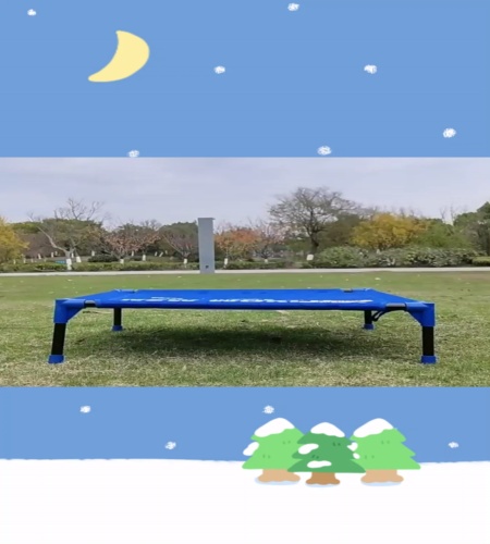 紹介動画