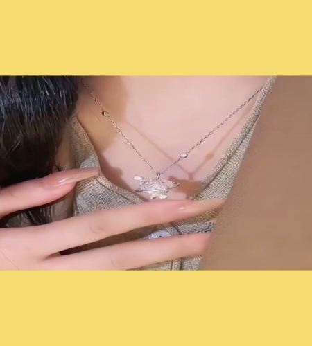 紹介動画