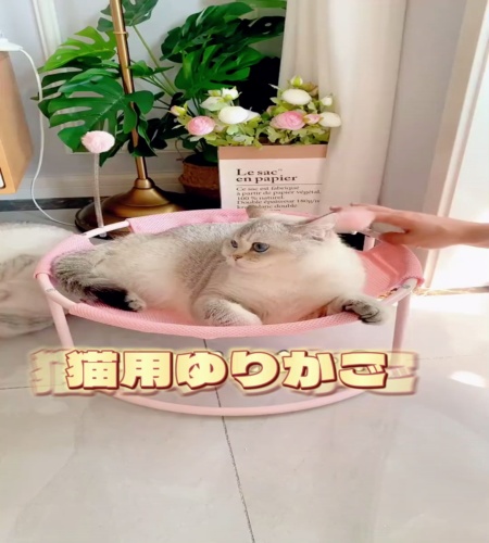 紹介動画