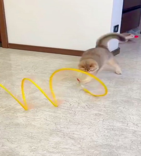紹介動画
