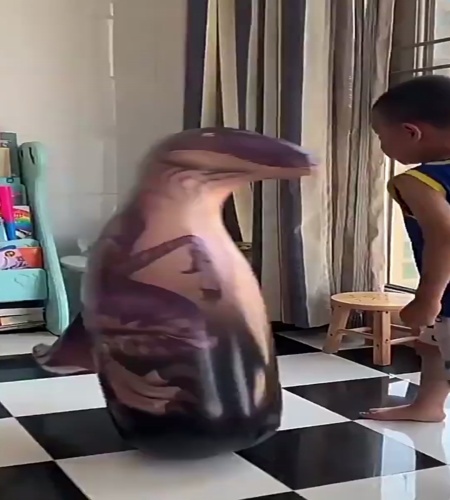紹介動画
