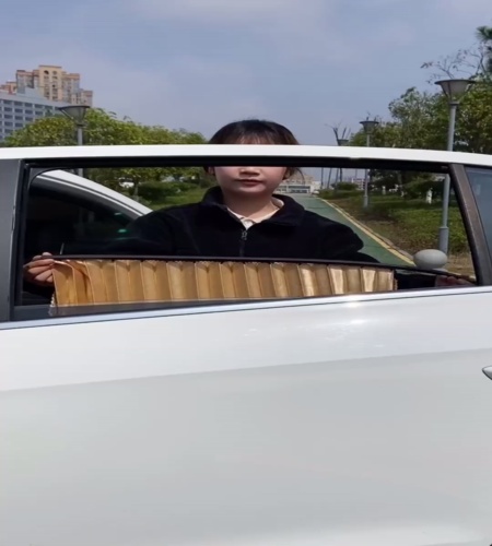 紹介動画