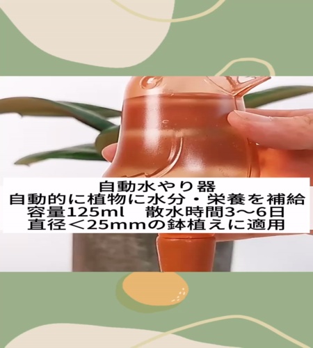 紹介動画
