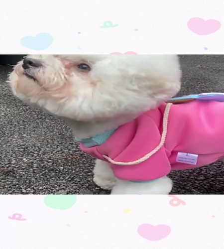 紹介動画