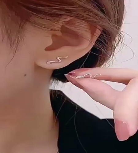 紹介動画