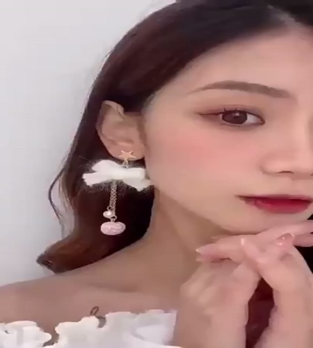 紹介動画