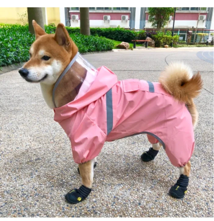 545907797473275904.png?x-oss-process=image/format,webp