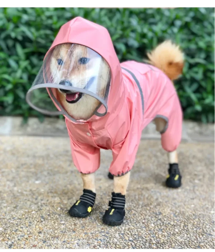 545907809531899904.png?x-oss-process=image/format,webp