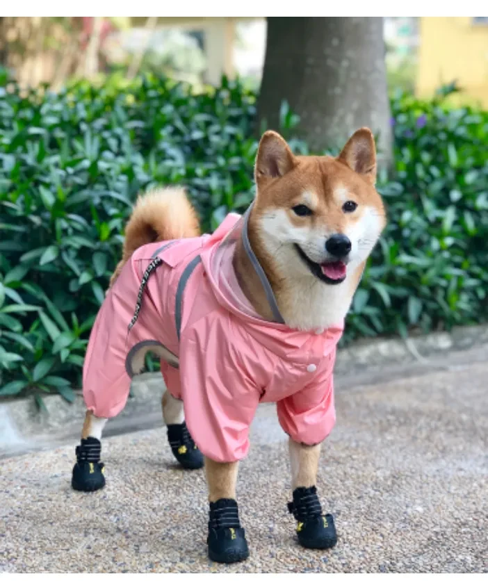 545907813566816256.png?x-oss-process=image/format,webp