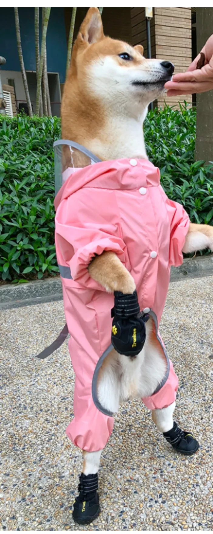 545907820567113728.png?x-oss-process=image/format,webp