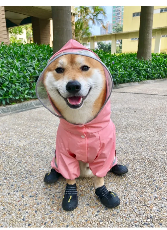 545907824799166464.png?x-oss-process=image/format,webp