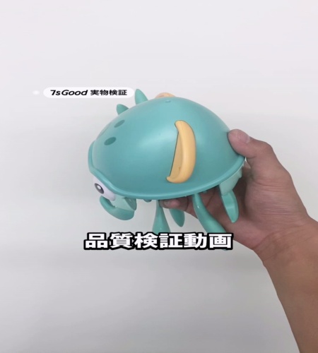 実物検証