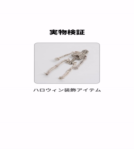 使ってみた！