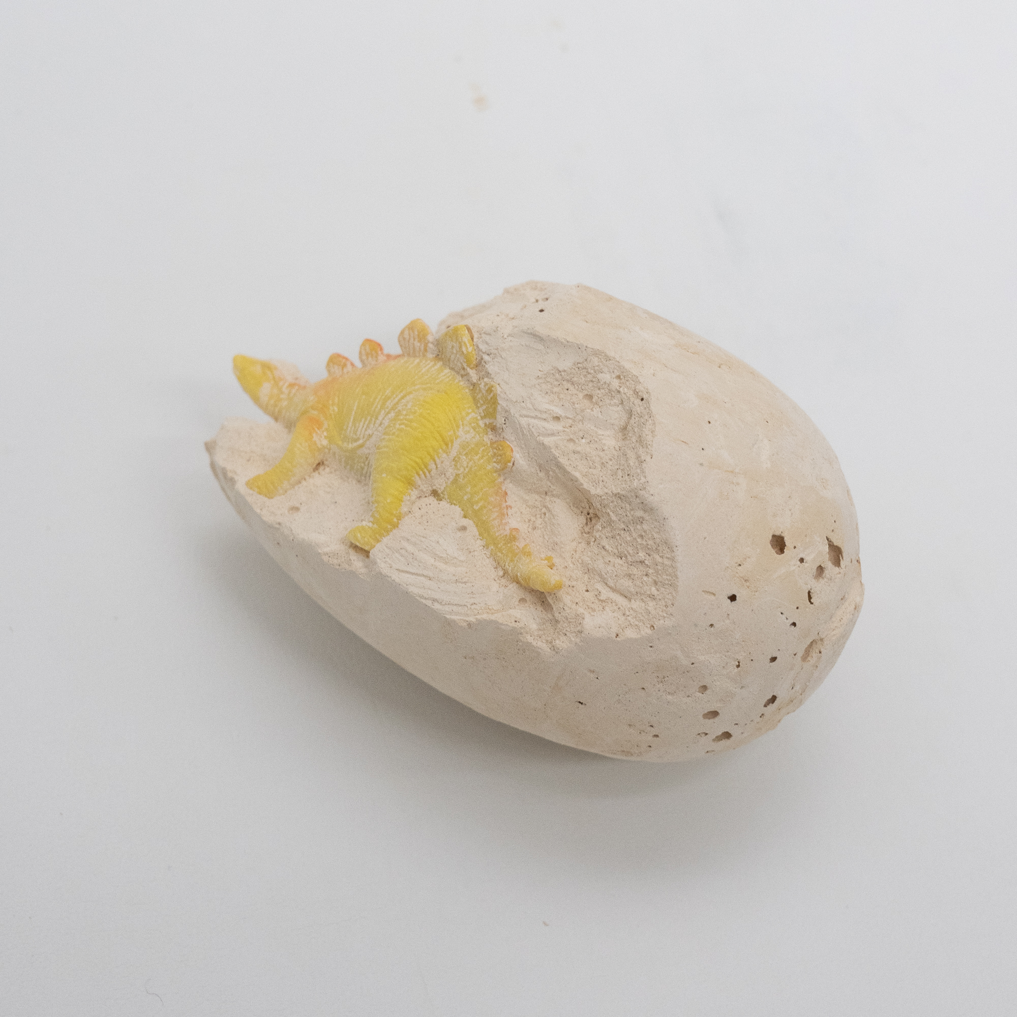 『ダイナソーの卵を掘りましょう～』恐竜発掘キット｜12枚ダイナソー卵いり·「発掘」のような面白い方式で子供に古生物学を了解させ|undefined