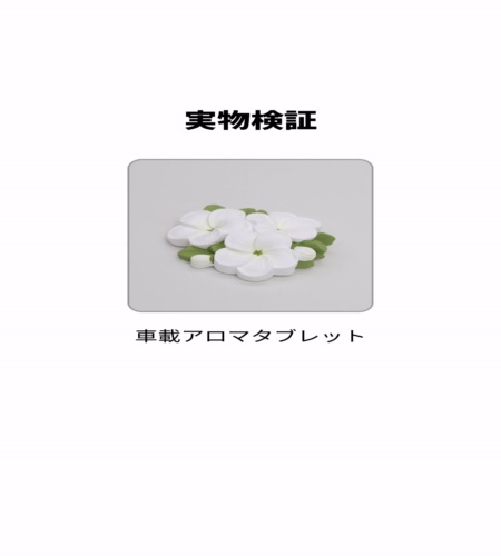 実物検証