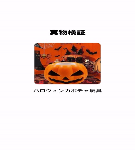 実物検証