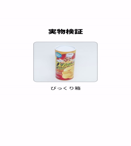 実物検証