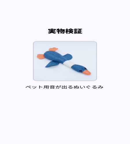 実物検証