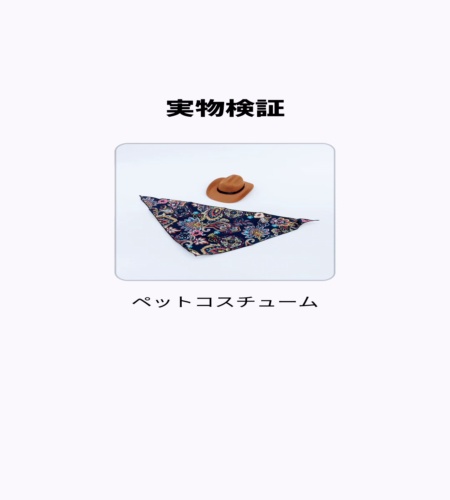 実物検証