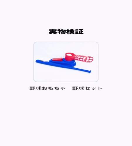 実物検証