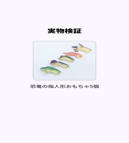 実物検証