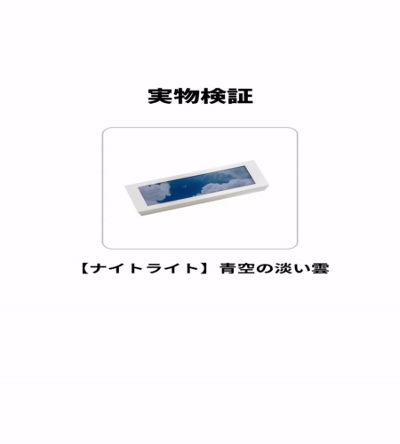 実物検証