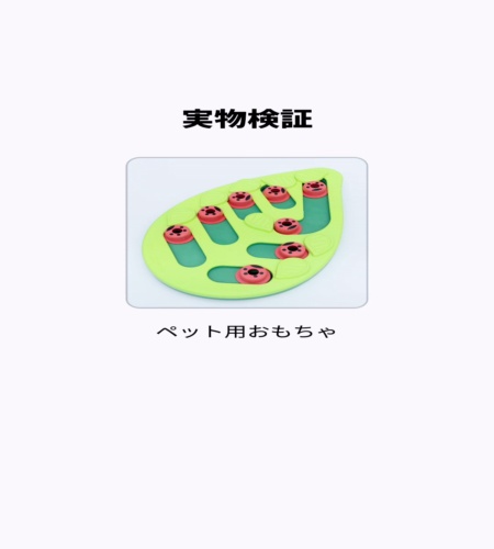 実物検証