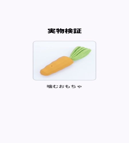 実物検証