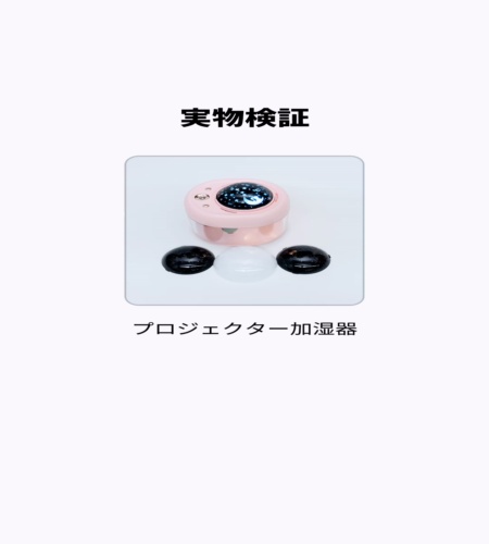 実物検証