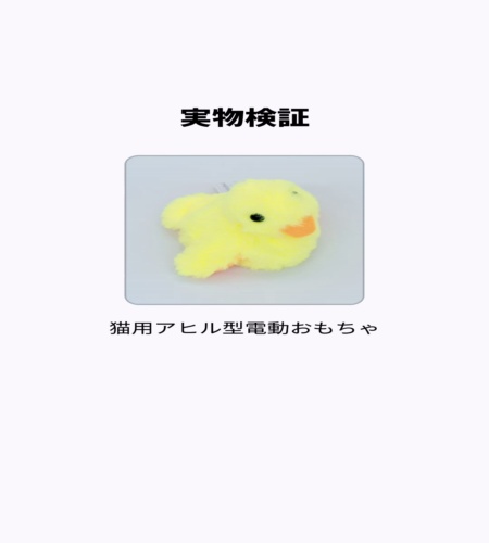 実物検証