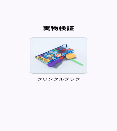 実物検証