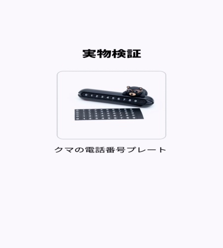 実物検証