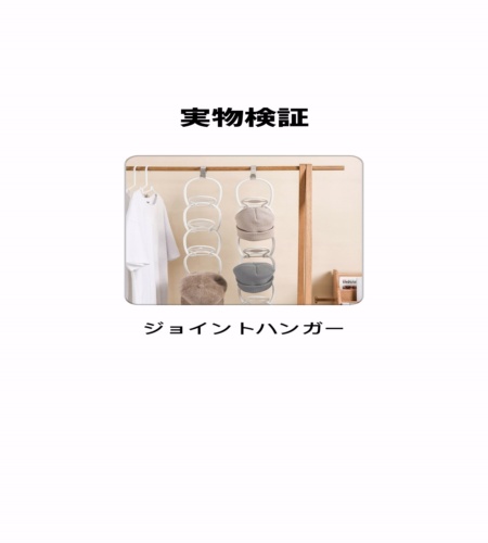 実物検証