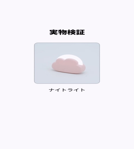 実物検証