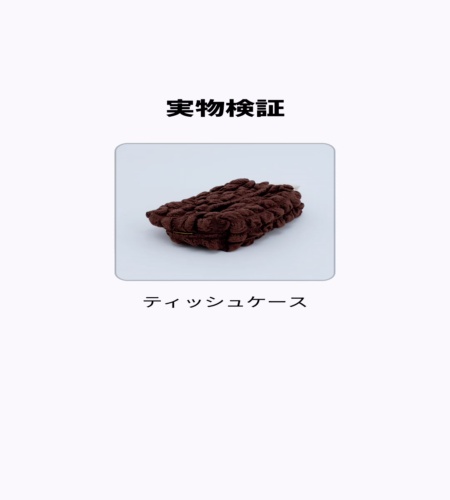 実物検証