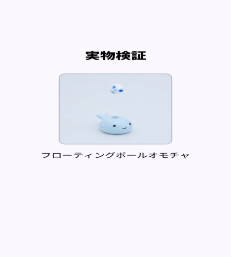 実物検証