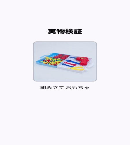 実物検証