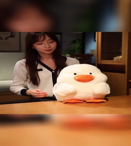 紹介動画