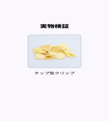 実物検証