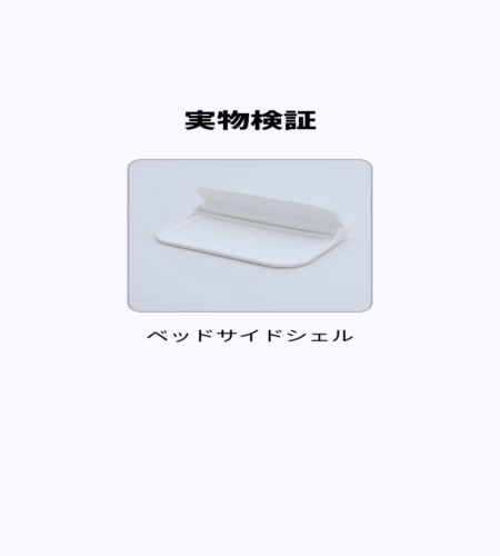 実物検証