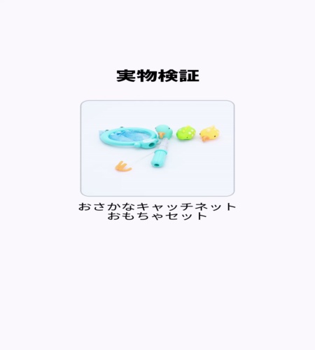 実物検証