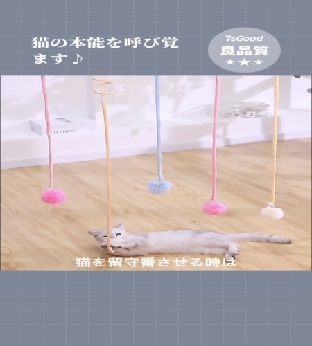 紹介動画