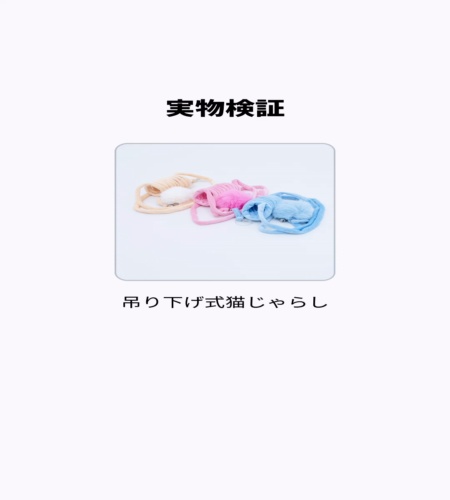 実物検証