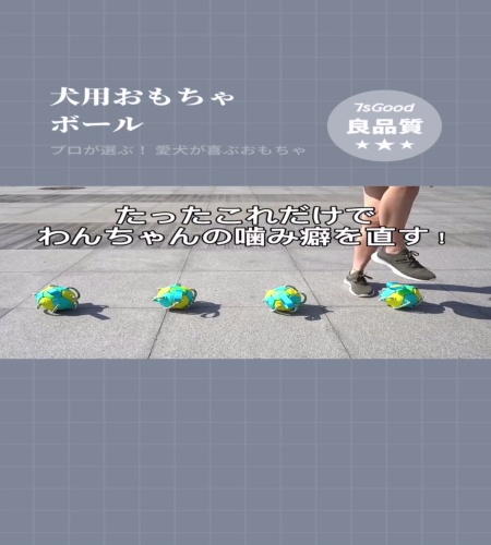 紹介動画